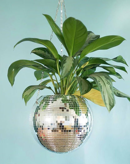 Eclectic Whimsical Disco Ball Hanging Herb Planters for Indoor, Outdoor & Front yard by INSPECIAL HOME