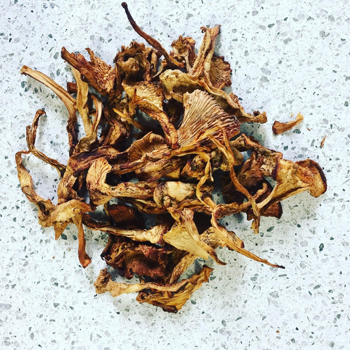 North Spore Dried Wild Chanterelle Mushrooms by Farm2Me