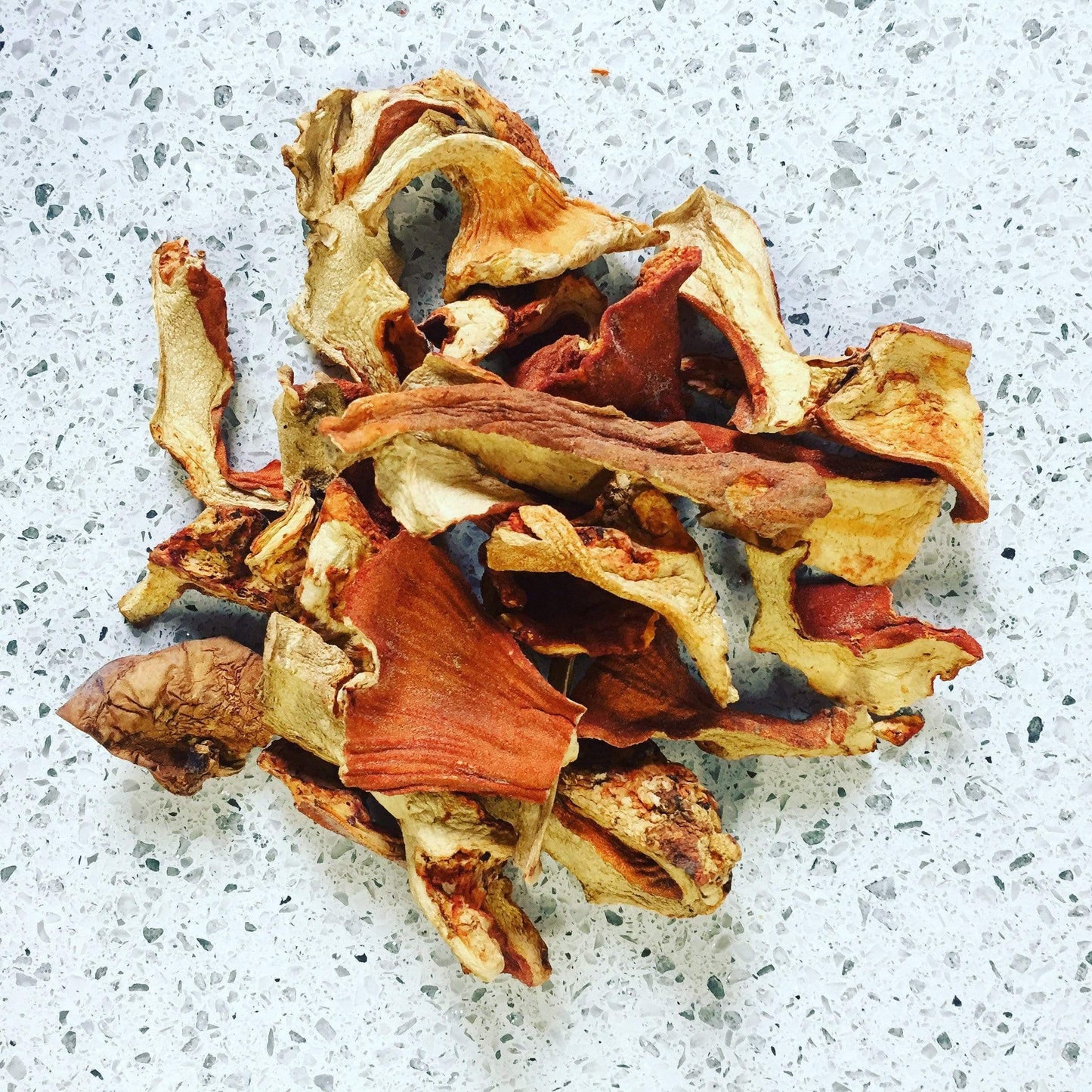 North Spore Dried Wild Lobster Mushrooms by Farm2Me