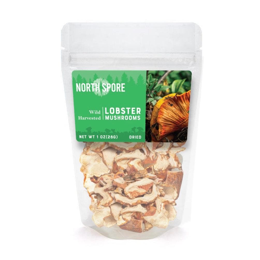 North Spore Dried Wild Lobster Mushrooms by Farm2Me