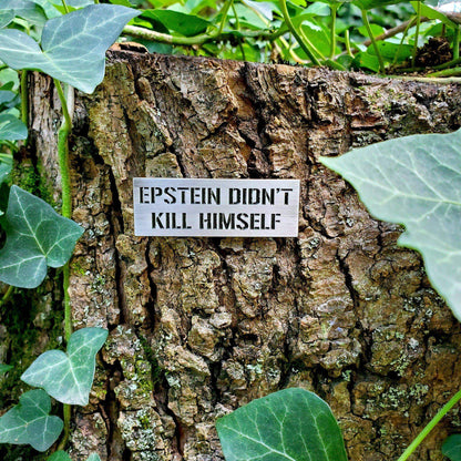 "Epstein Didn't Kill Himself" Pin by Kolorspun