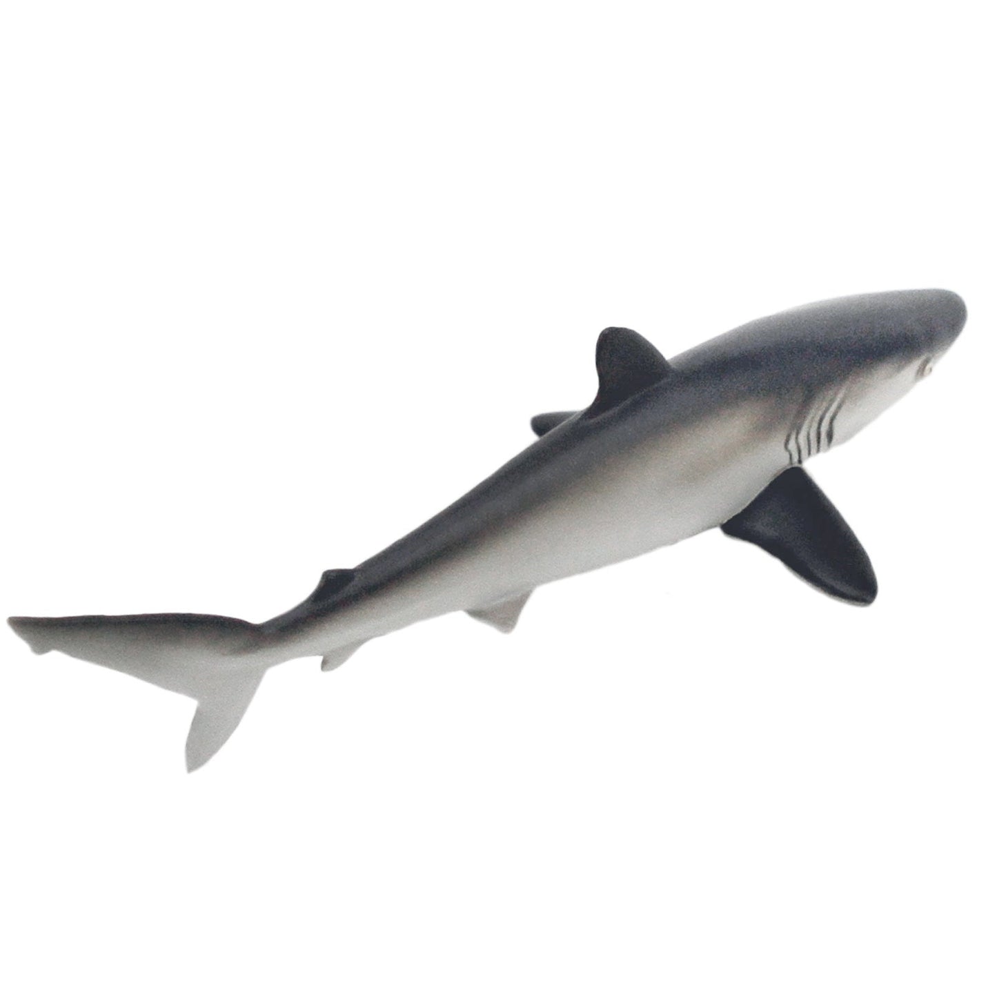 Silky Shark Toy Figure by Safari Ltd®