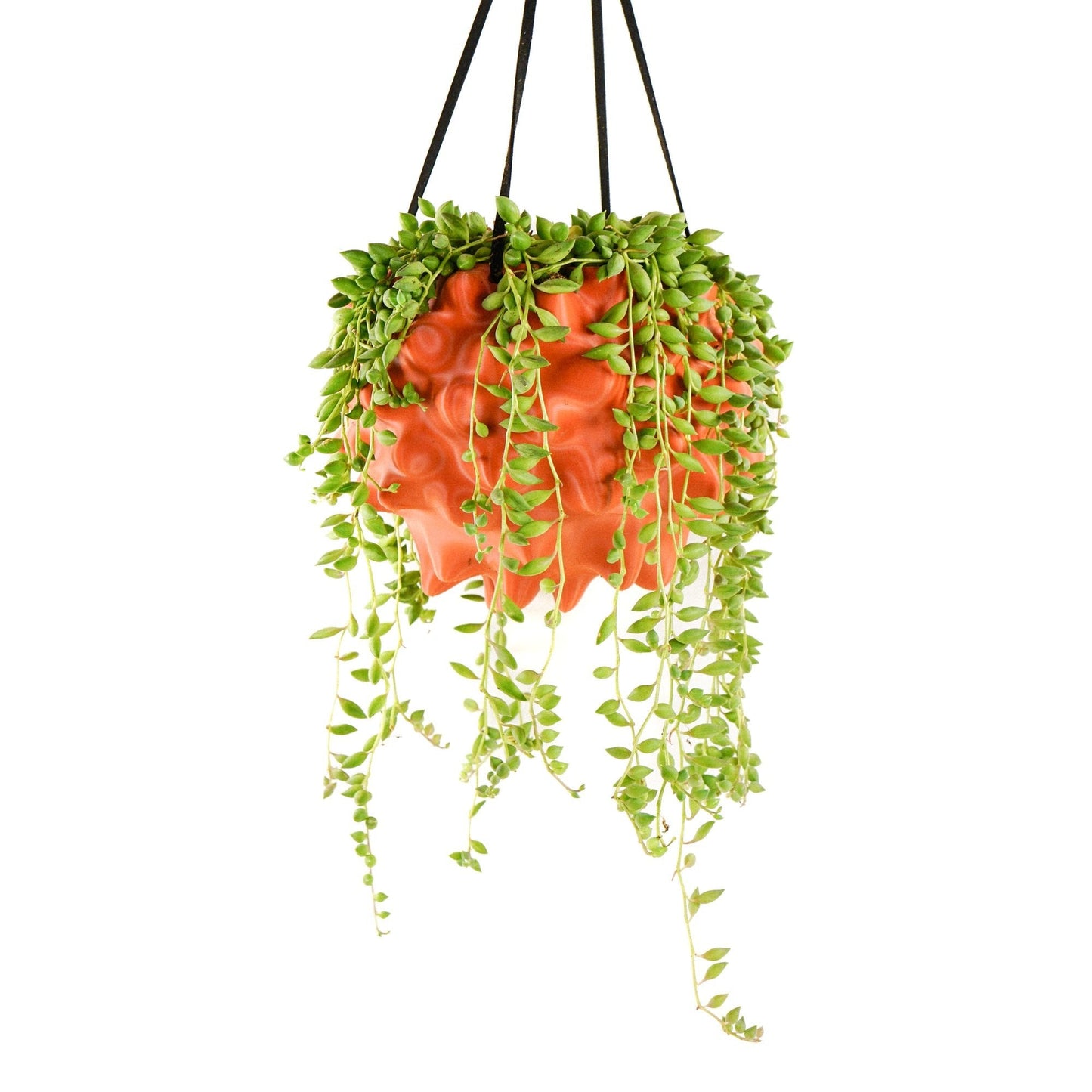 Orb Hanging Planter Pot With Drainage by Rosebud HomeGoods