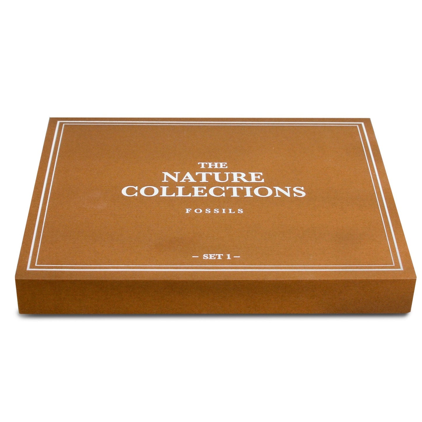 The Nature Collection - Fossils Set 1 by Safari Ltd®