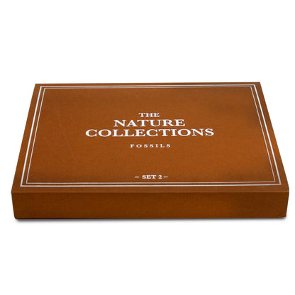 The Nature Collection - Fossils Set 2 by Safari Ltd®