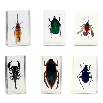 The Nature Collection - Scorpions, Spiders & Bugs Set 1 by Safari Ltd®