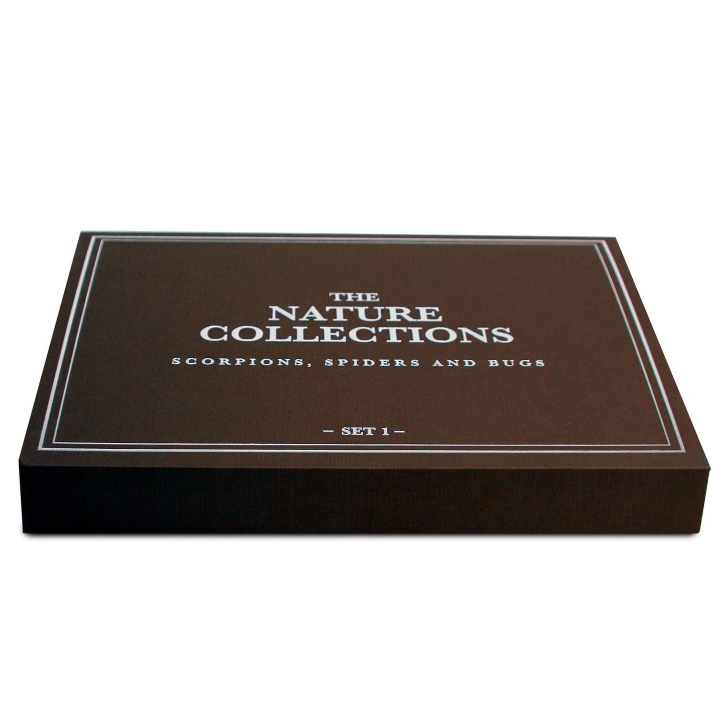 The Nature Collection - Scorpions, Spiders & Bugs Set 1 by Safari Ltd®