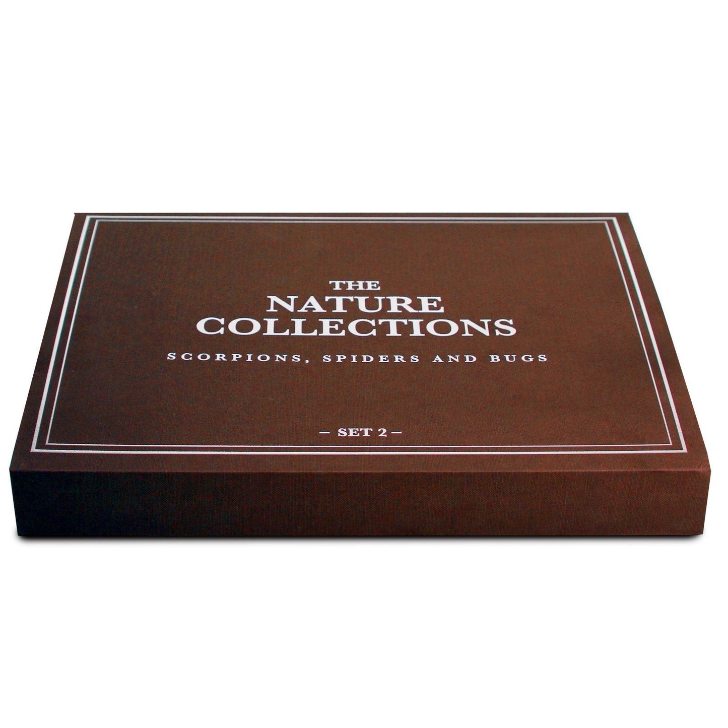 The Nature Collection - Scorpions, Spiders & Bugs Set 2 by Safari Ltd®