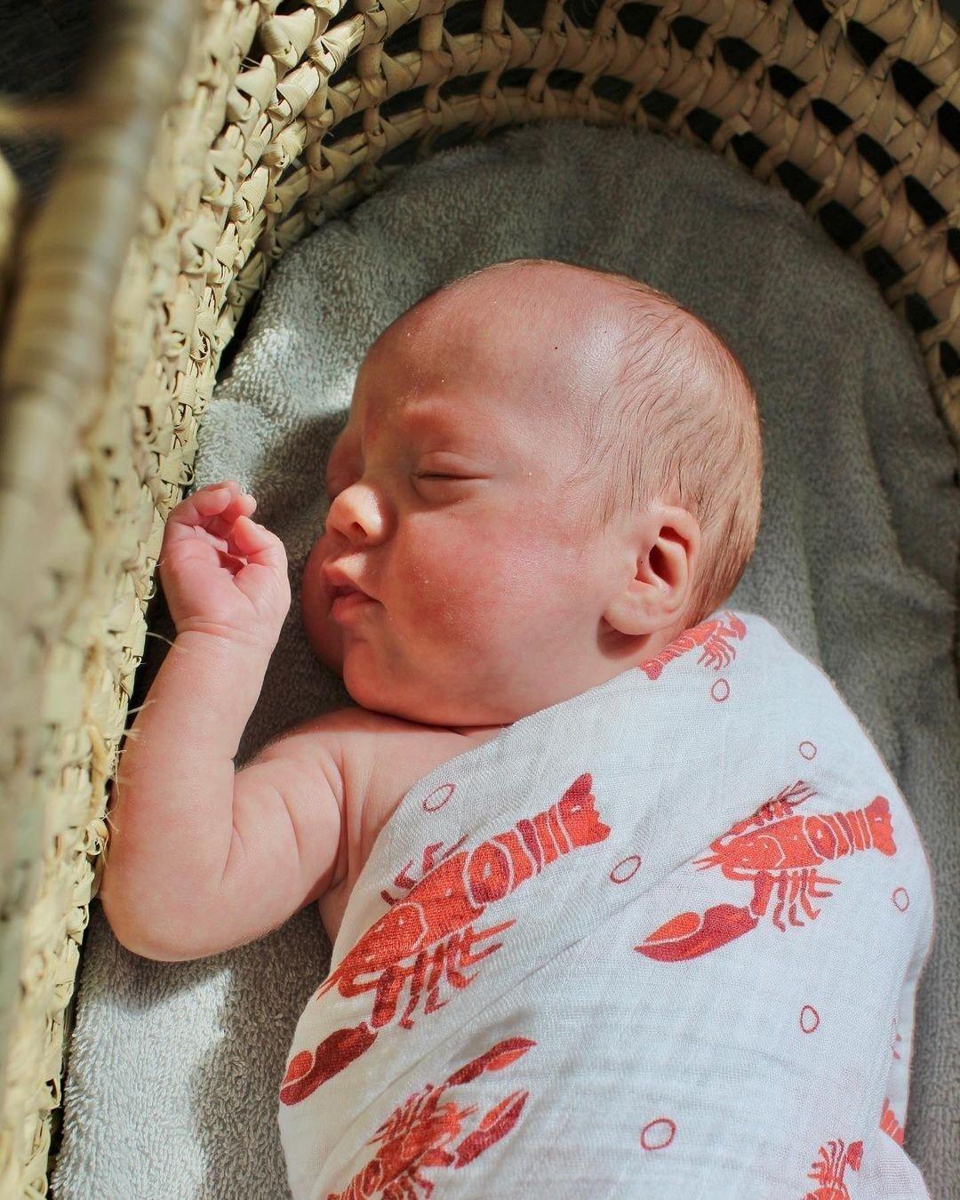 Gift Set: Heads Tails Crawfish Lobster Baby Muslin Swaddle Blanket and Burp Cloth/Bib Combo by Little Hometown