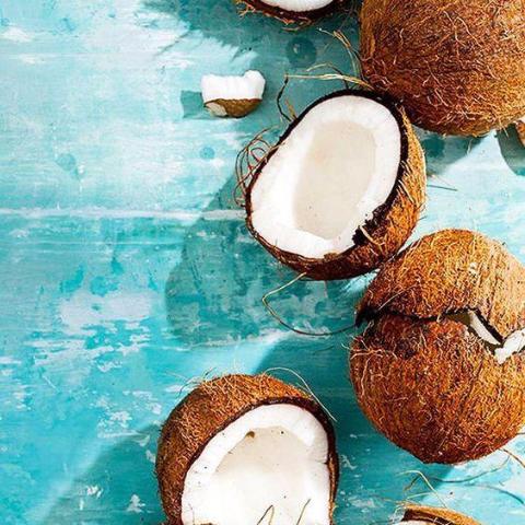 Coconut Water by Wicked Good Perfume