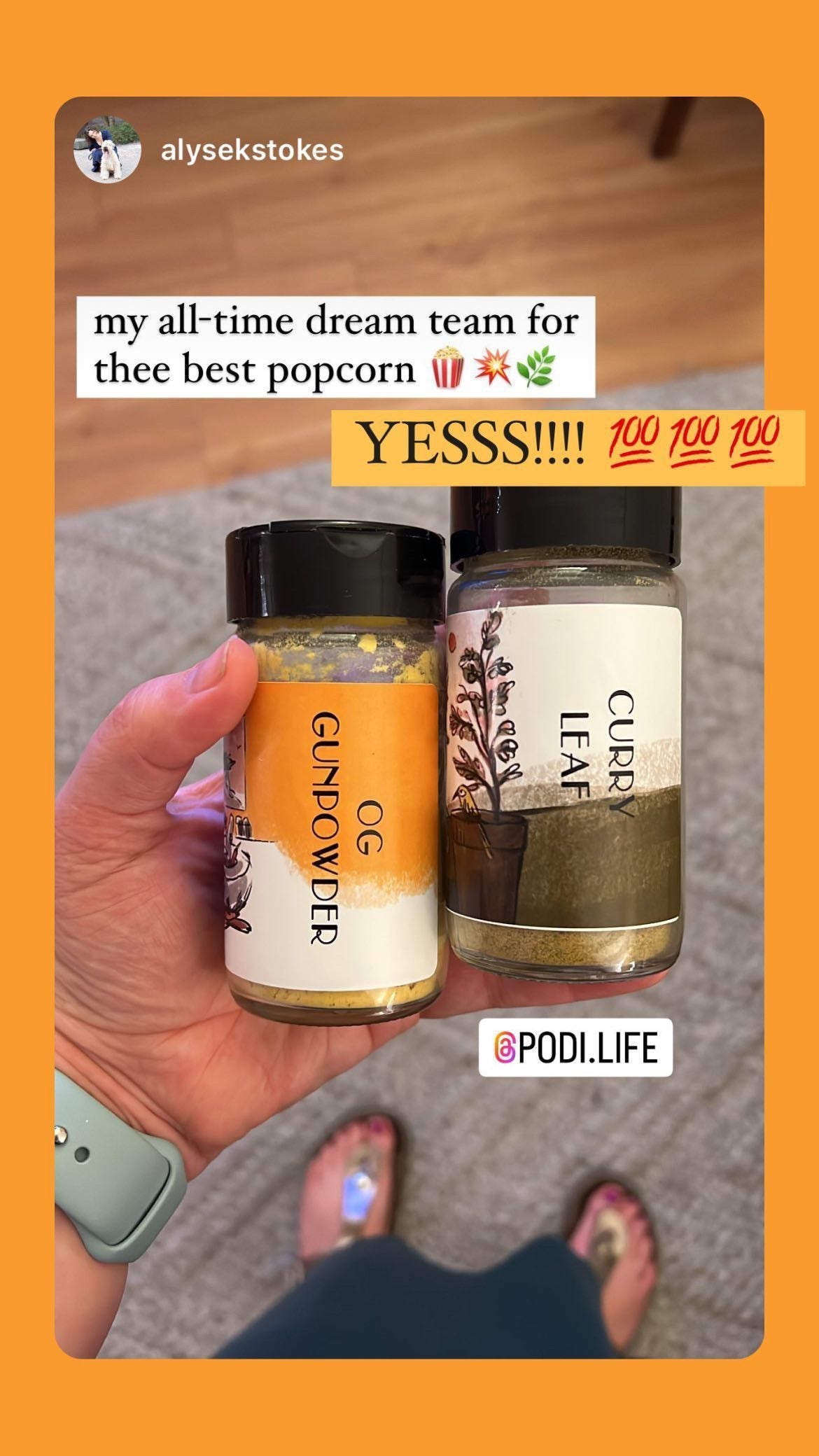 Popcorn & Veggie Seasoning Set by PODI life - South Indian Pantry