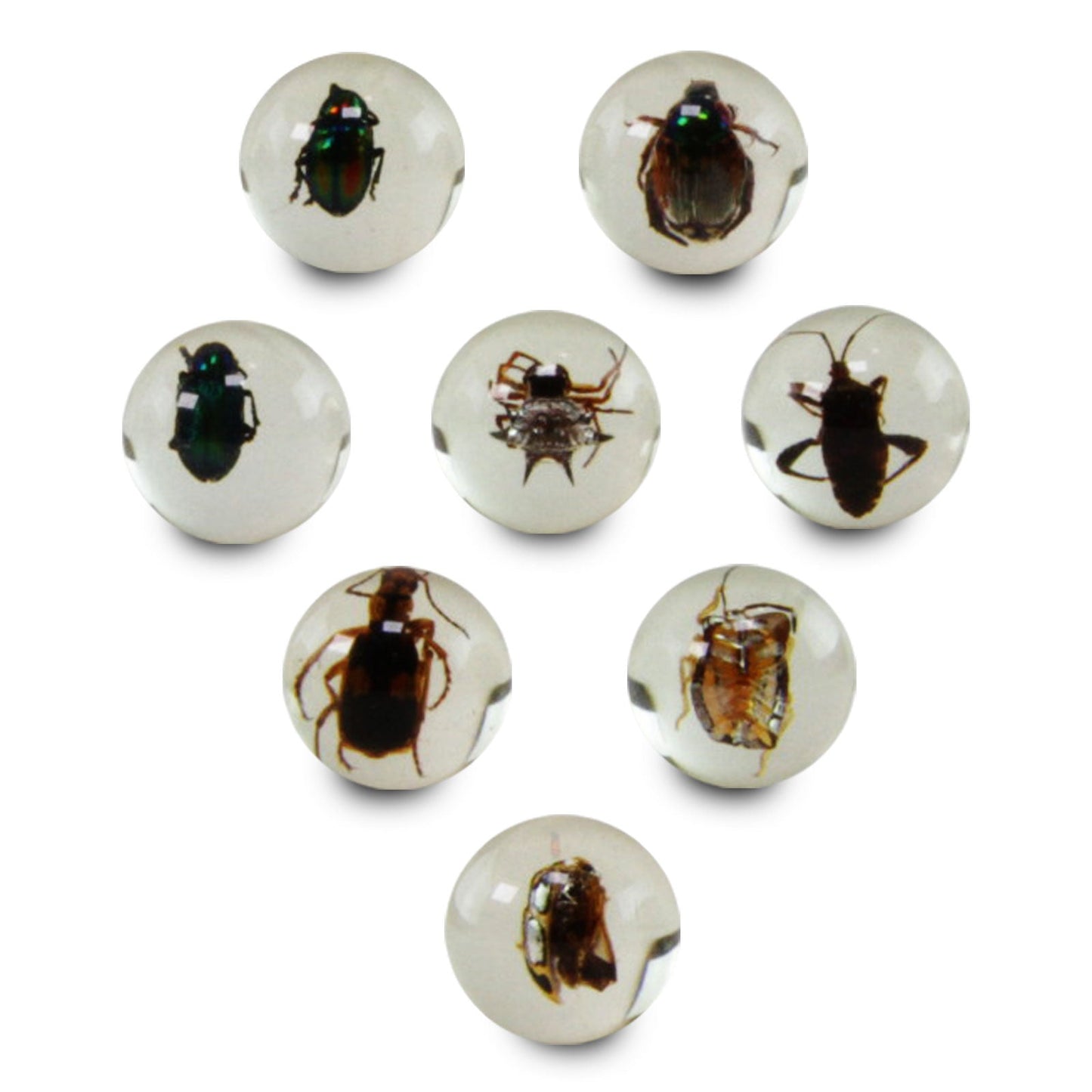 Safari Ltd Geoworld Bug Marbles by Safari Ltd®