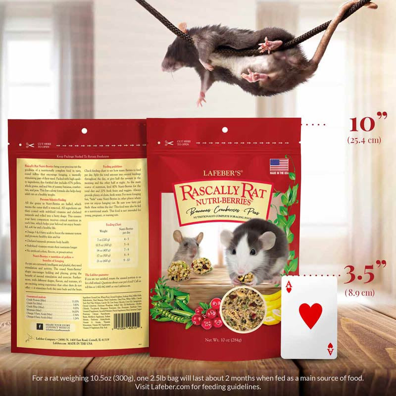 Nutritionally Complete Adult Rat Food With Bananas, Cranberries, and Peas by Lafeber: Fortified Foraging Diet for Healthy, Happy Rats by Dog Hugs Cat