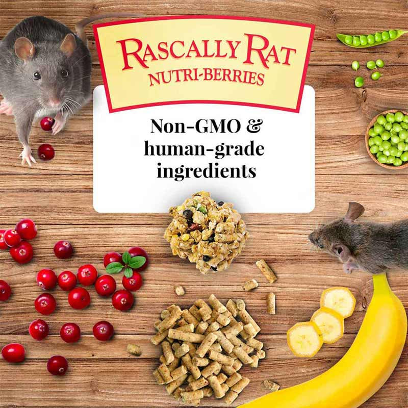 Nutritionally Complete Adult Rat Food With Bananas, Cranberries, and Peas by Lafeber: Fortified Foraging Diet for Healthy, Happy Rats by Dog Hugs Cat