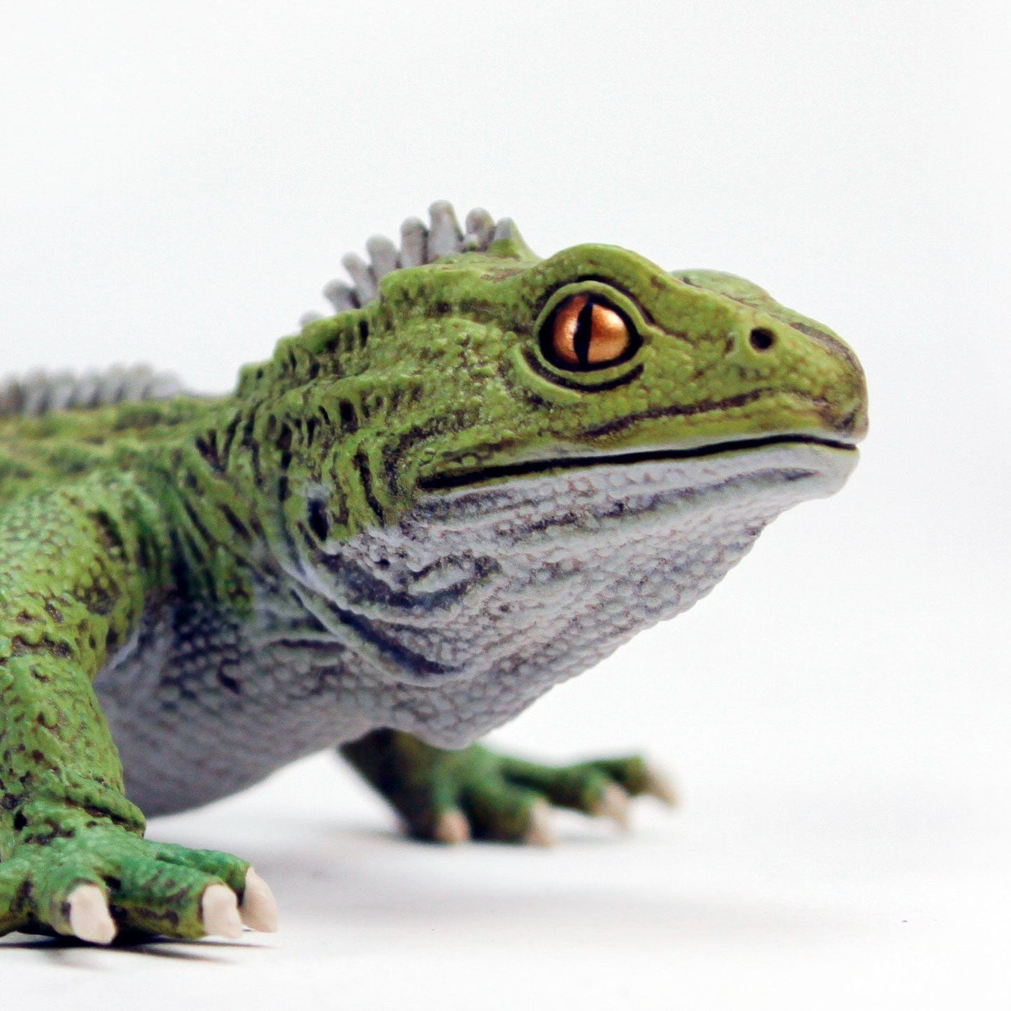 Tuatara Toy by Safari Ltd®