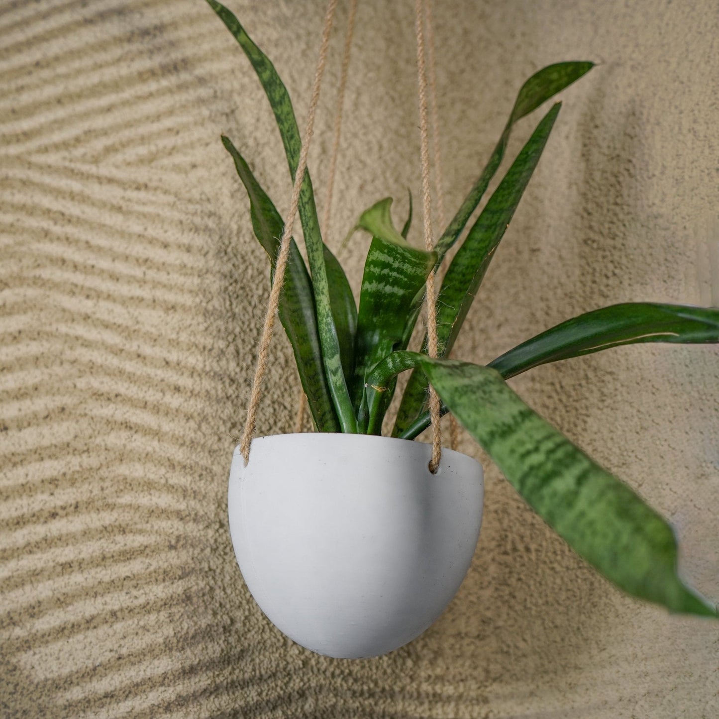 Minimalist Hanging Plant Pot with Drainage by Rosebud HomeGoods