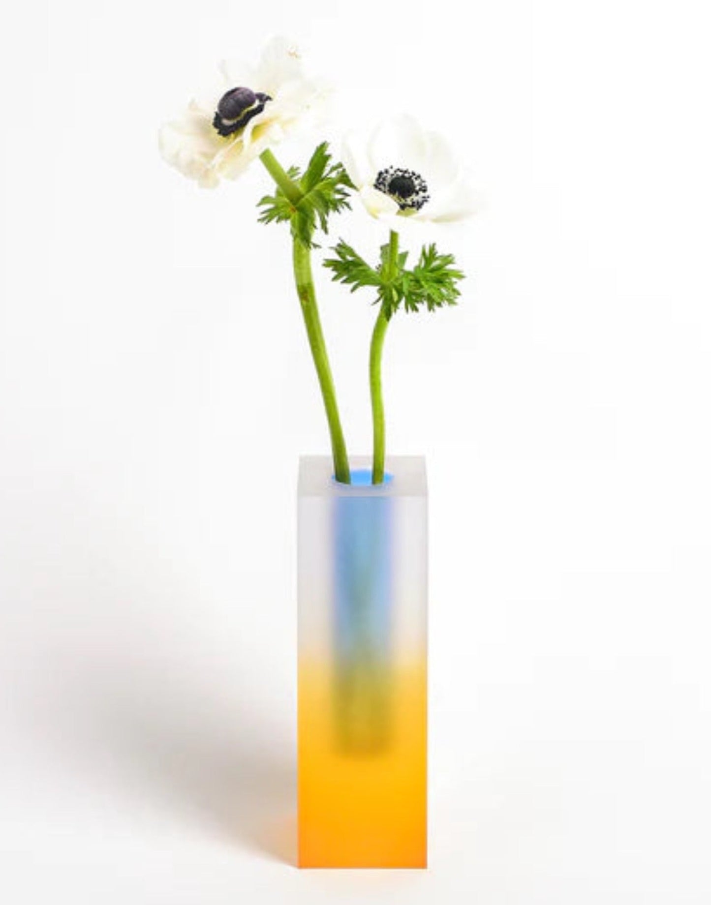 Iridescence Vase - Modern Whimsical Eclectic Decorative Table Setting Centerpiece Vase by INSPECIAL HOME