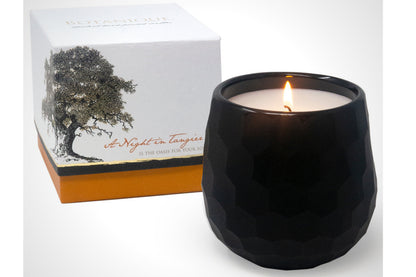 Botanique Black 16 oz Candle by Andaluca Home