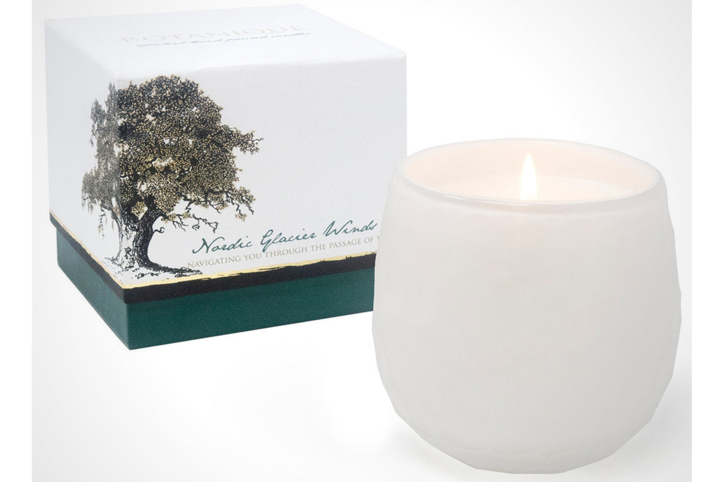 Botanique White 16 oz Candle by Andaluca Home