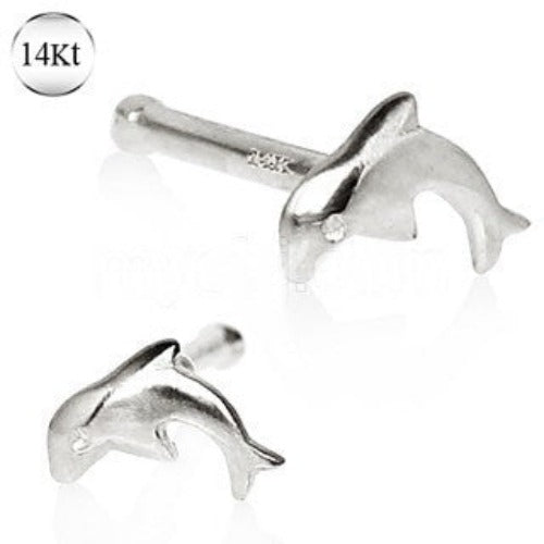 14Kt White Gold Stud Nose Ring with a Dolphin by Fashion Hut Jewelry