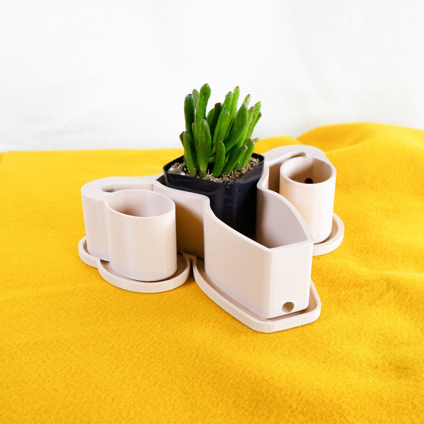 Ovarian Planter Pot with Unique Drainage and Drip Tray, Funny Gag Gifts for White Elephant by Rosebud HomeGoods