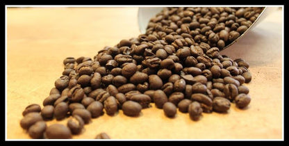 Peaberry Blend | Medium Roast Coffee by Black Powder Coffee