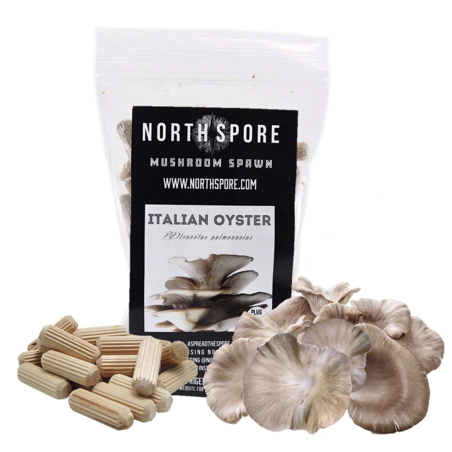 North Spore Organic Italian Oyster Mushroom Plug Spawn by Farm2Me