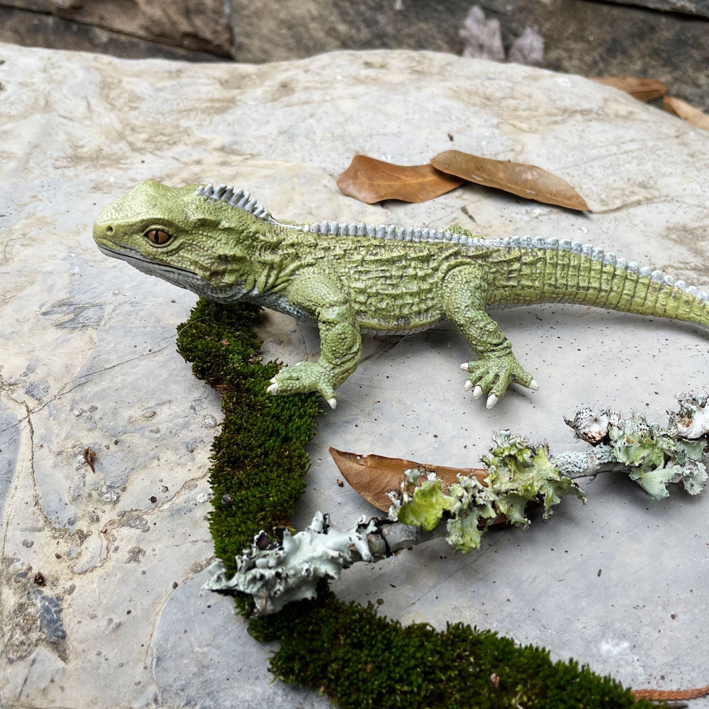 Tuatara Toy by Safari Ltd®