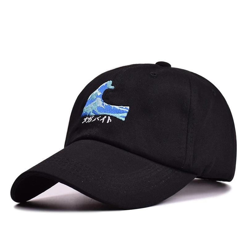 Rogue Wave Dad Hat by White Market