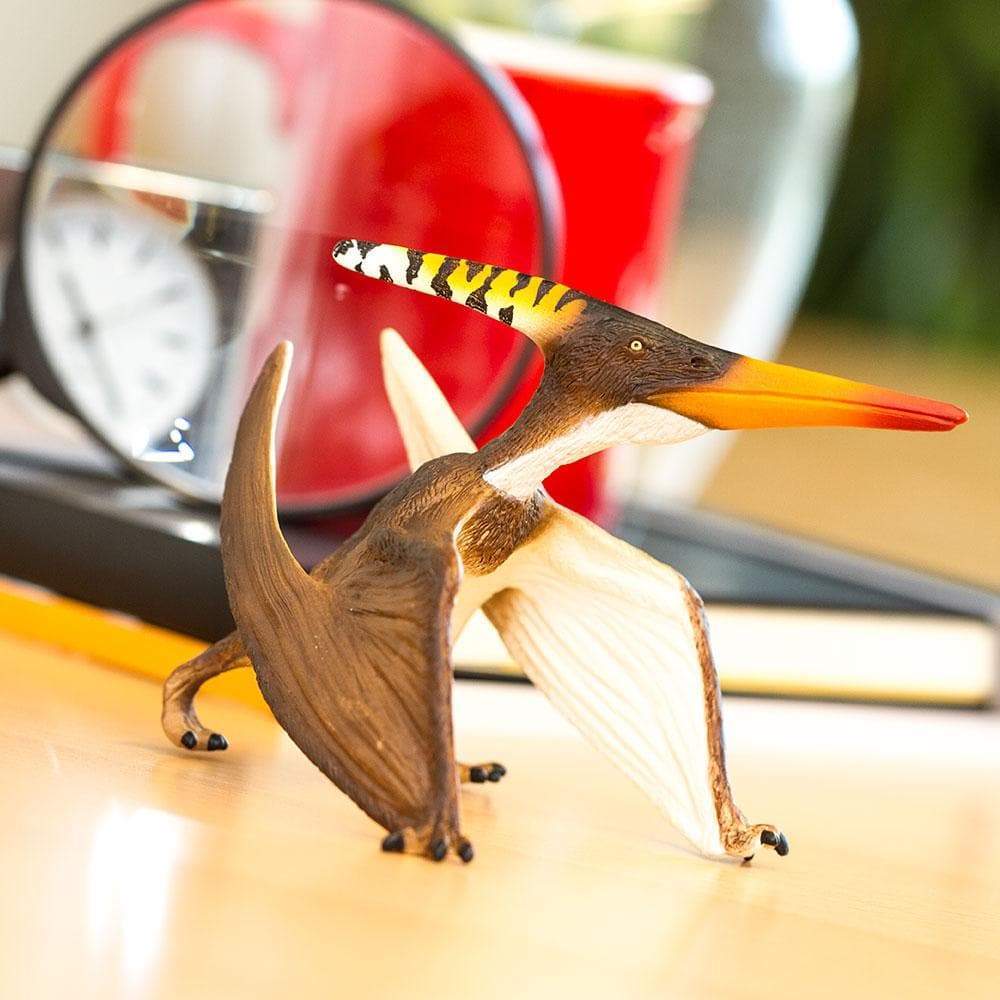 Pteranodon by Safari Ltd®