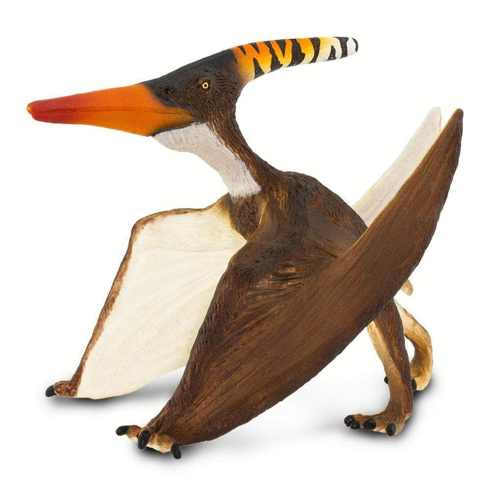 Pteranodon by Safari Ltd®