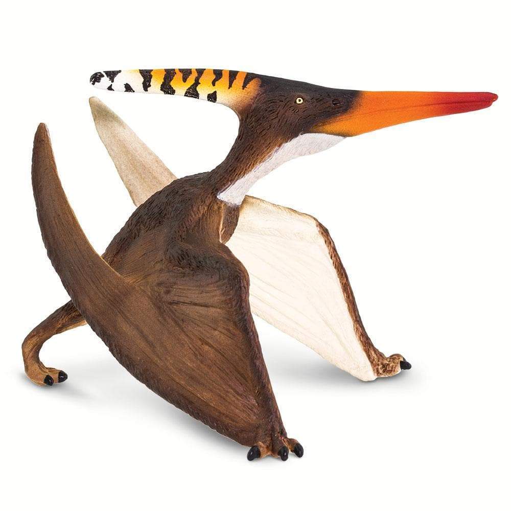 Pteranodon by Safari Ltd®