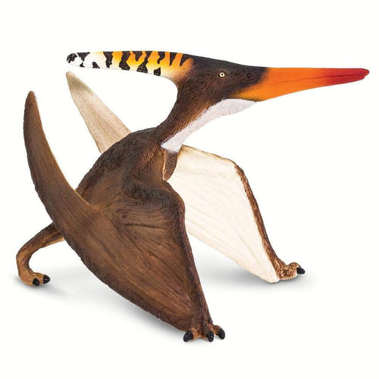 Pteranodon by Safari Ltd®