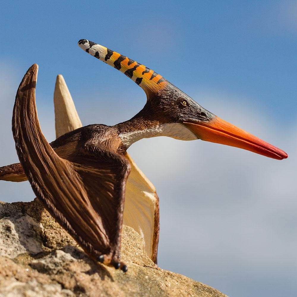 Pteranodon by Safari Ltd®