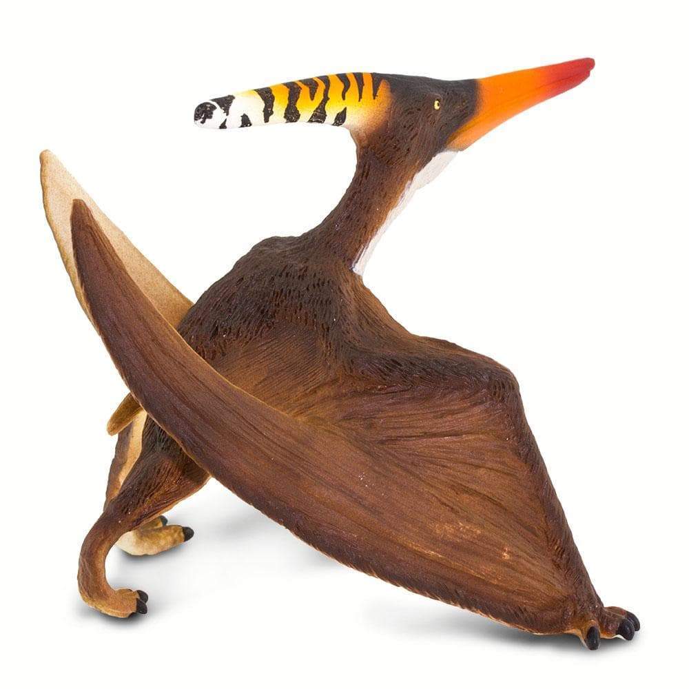 Pteranodon by Safari Ltd®