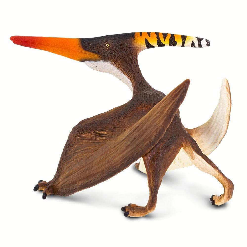 Pteranodon by Safari Ltd®