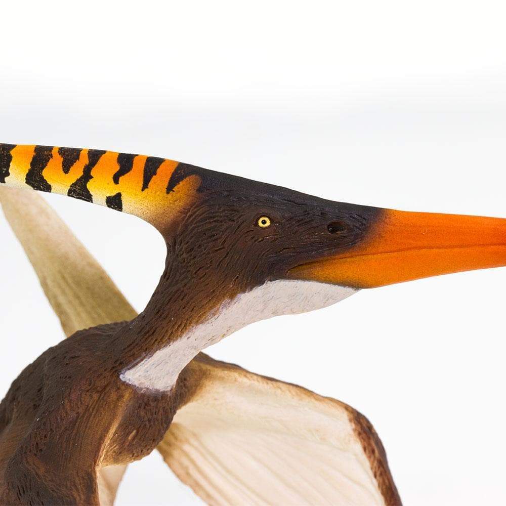 Pteranodon by Safari Ltd®