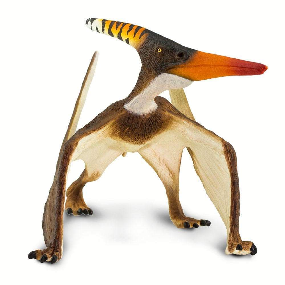 Pteranodon by Safari Ltd®