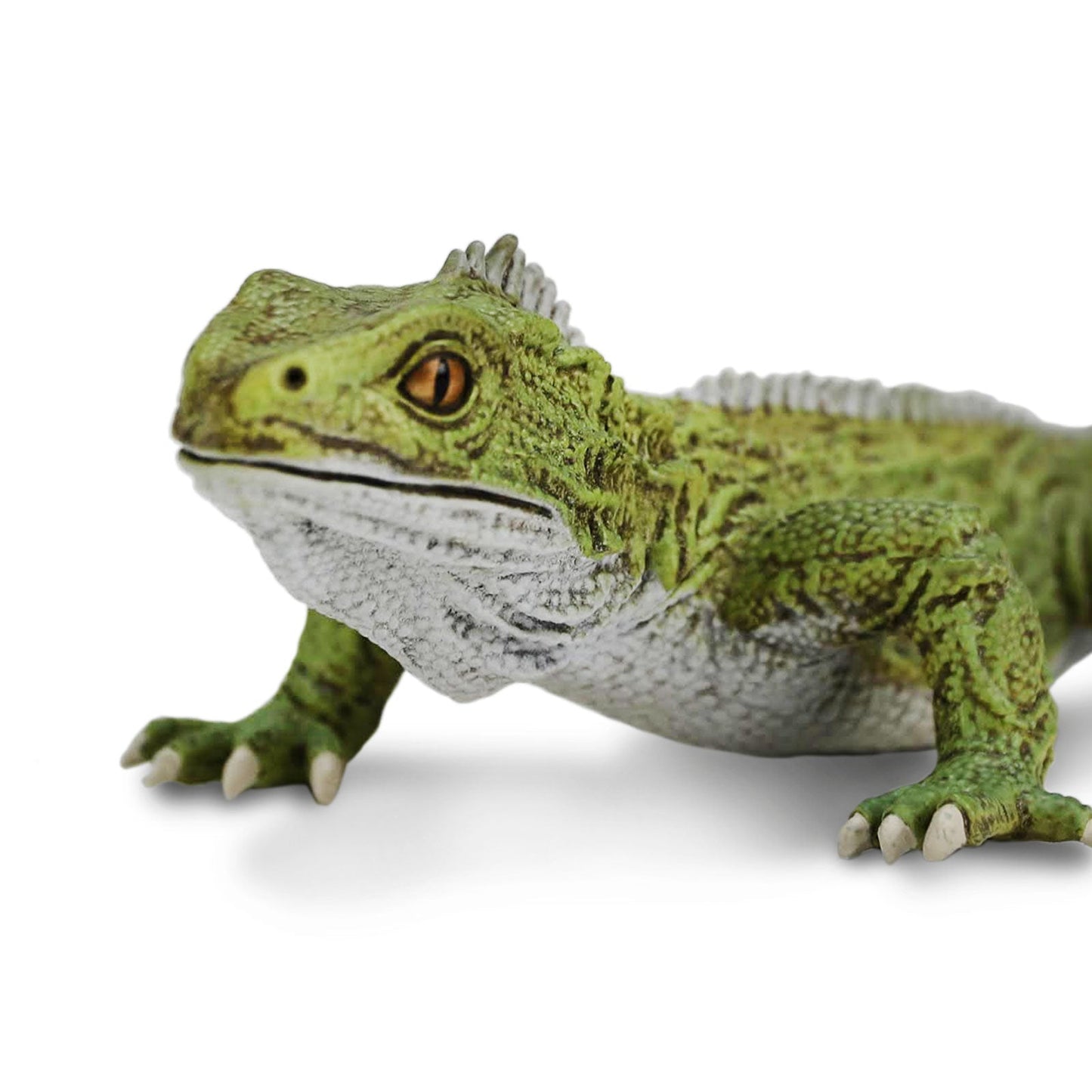 Tuatara Toy by Safari Ltd®