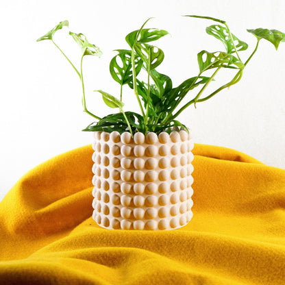 Ring of Pearls Planter by Rosebud HomeGoods