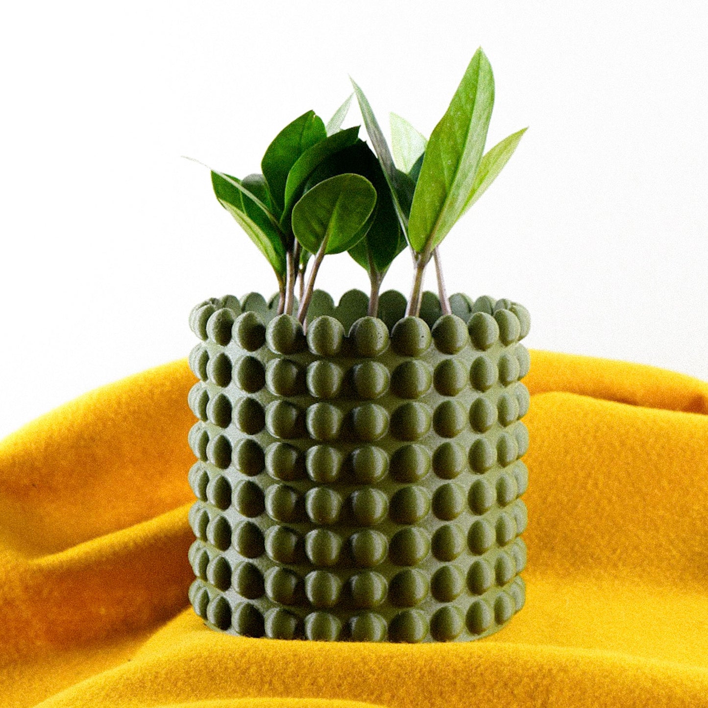 Ring of Pearls Planter by Rosebud HomeGoods