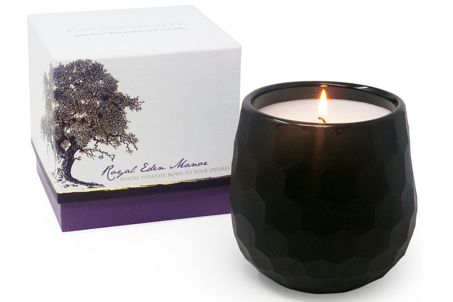 Botanique Black 16 oz Candle by Andaluca Home