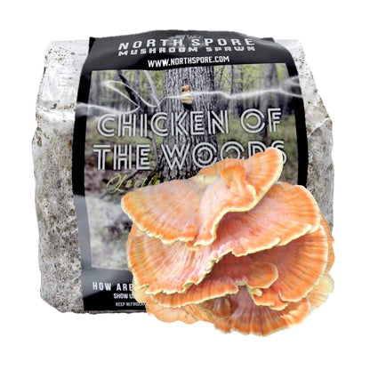 North Spore Organic Chicken of the Woods Sawdust Spawn by Farm2Me