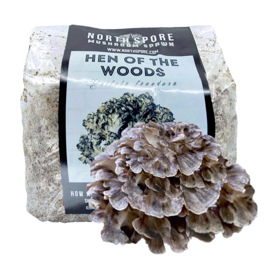 North Spore Organic Hen of the Woods (Maitake) Mushroom Sawdust Spawn by Farm2Me