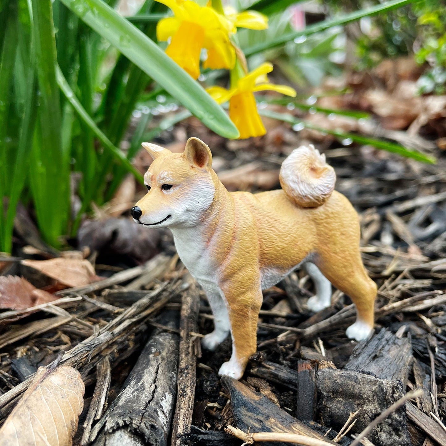 Shiba Inu Toy Dog Figure by Safari Ltd®