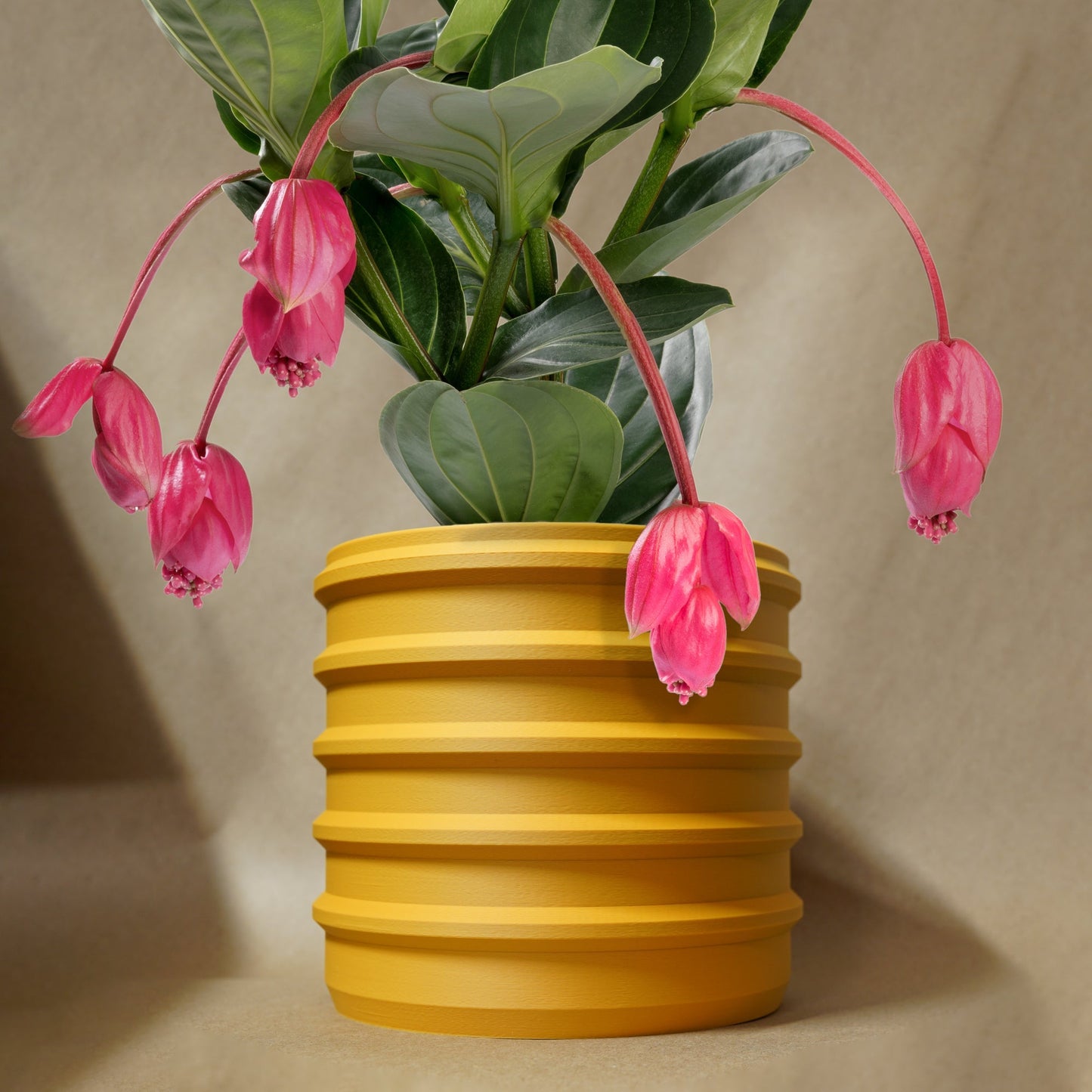 The Bubble Crest Planter by Rosebud HomeGoods