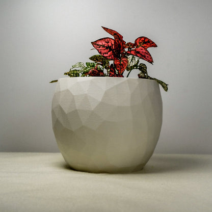 The Voronoi Planter by Rosebud HomeGoods