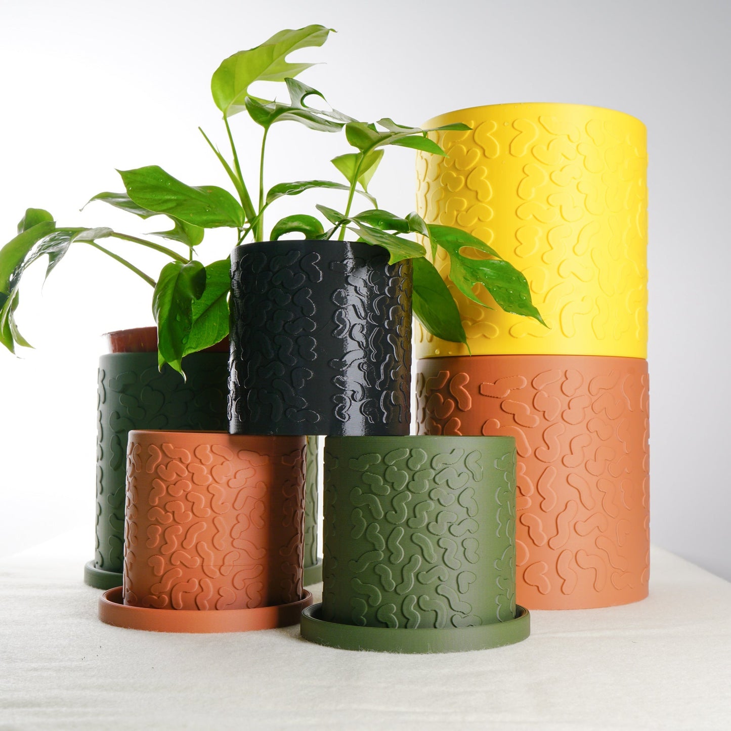 Tiny Squiggle Planter Pot with Drainage and Drip Tray, Multiple Sizes and Colors by Rosebud HomeGoods