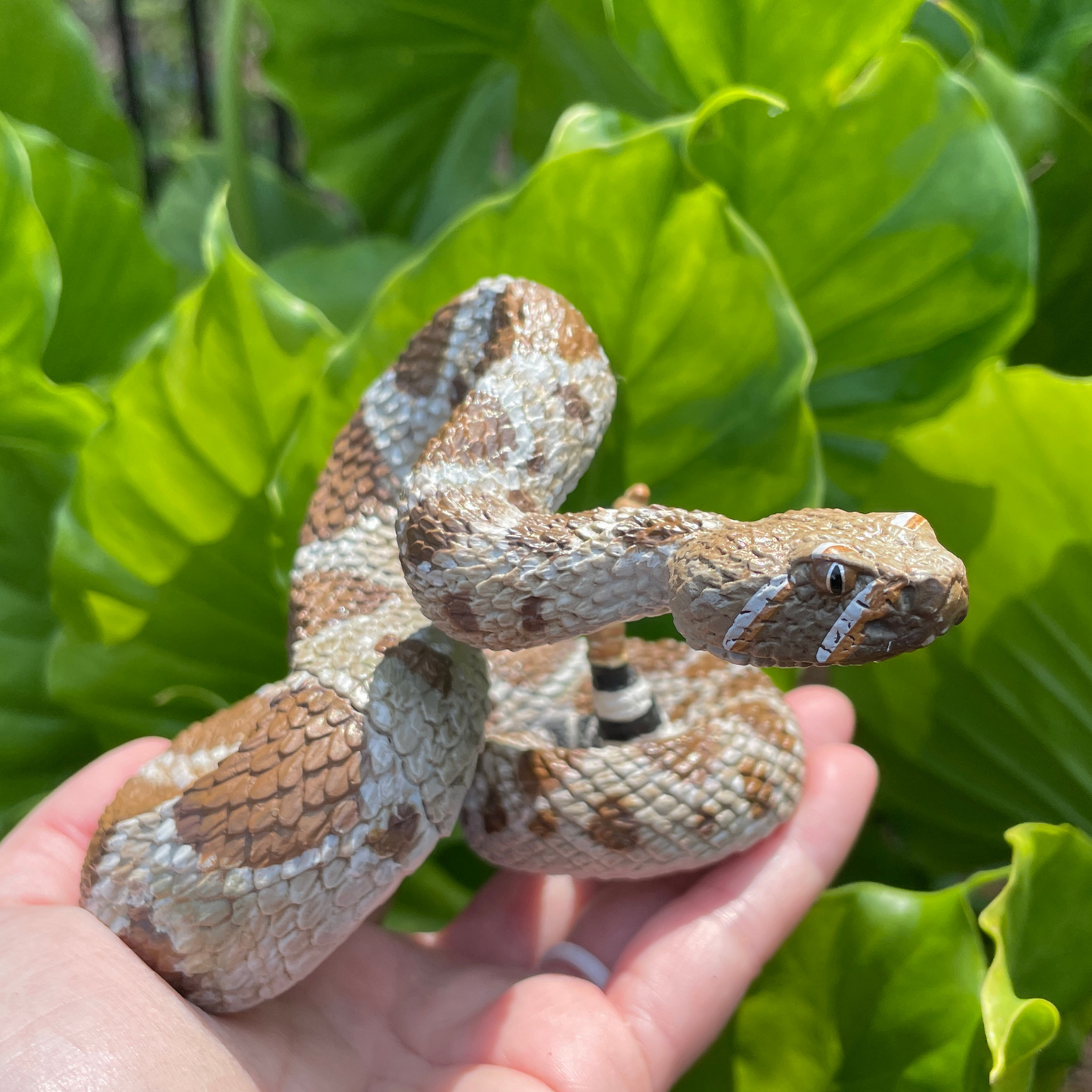 Western Diamondback Rattlesnake Toy by Safari Ltd®