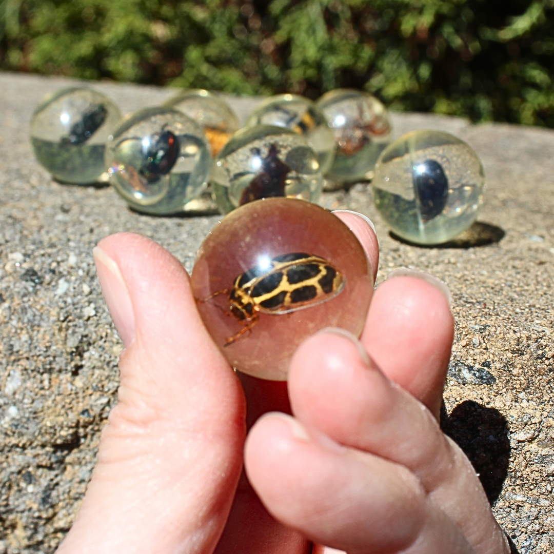 Safari Ltd Geoworld Bug Marbles by Safari Ltd®